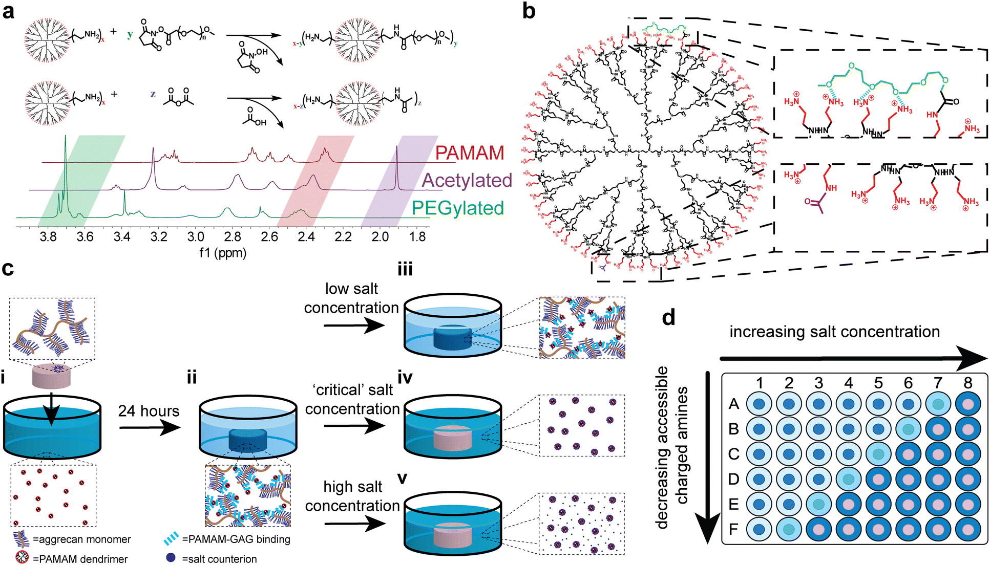 Charge shielding effects of PEG bound to NH 2 terminated PAMAM