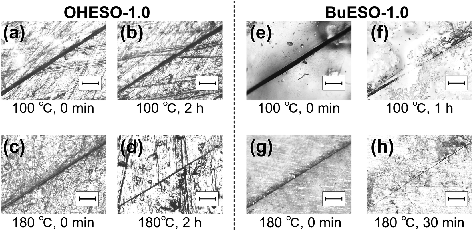 Bio-based vitrimers from divanillic acid and epoxidized soybean oil ...