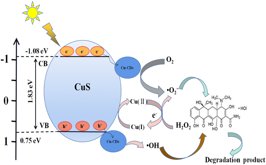 CuS@Cu-CD composites as efficient heterogeneous Fenton-like catalysts ...