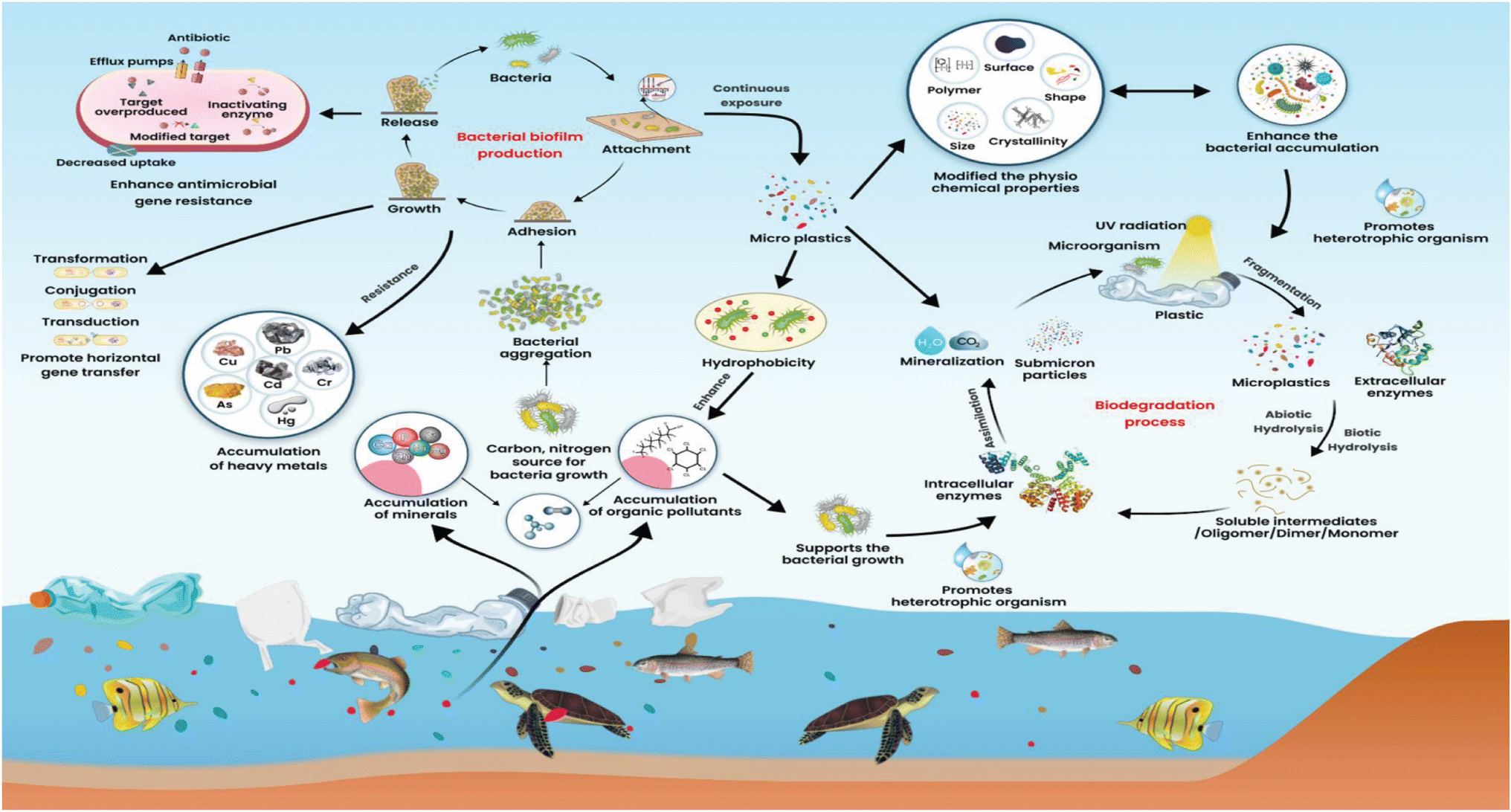 Microplastic emerging pollutants – impact on microbiological diversity ...