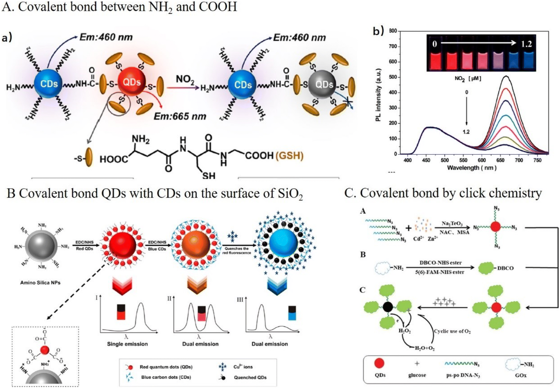 The construction of dual-emissive ratiometric fluorescent probes