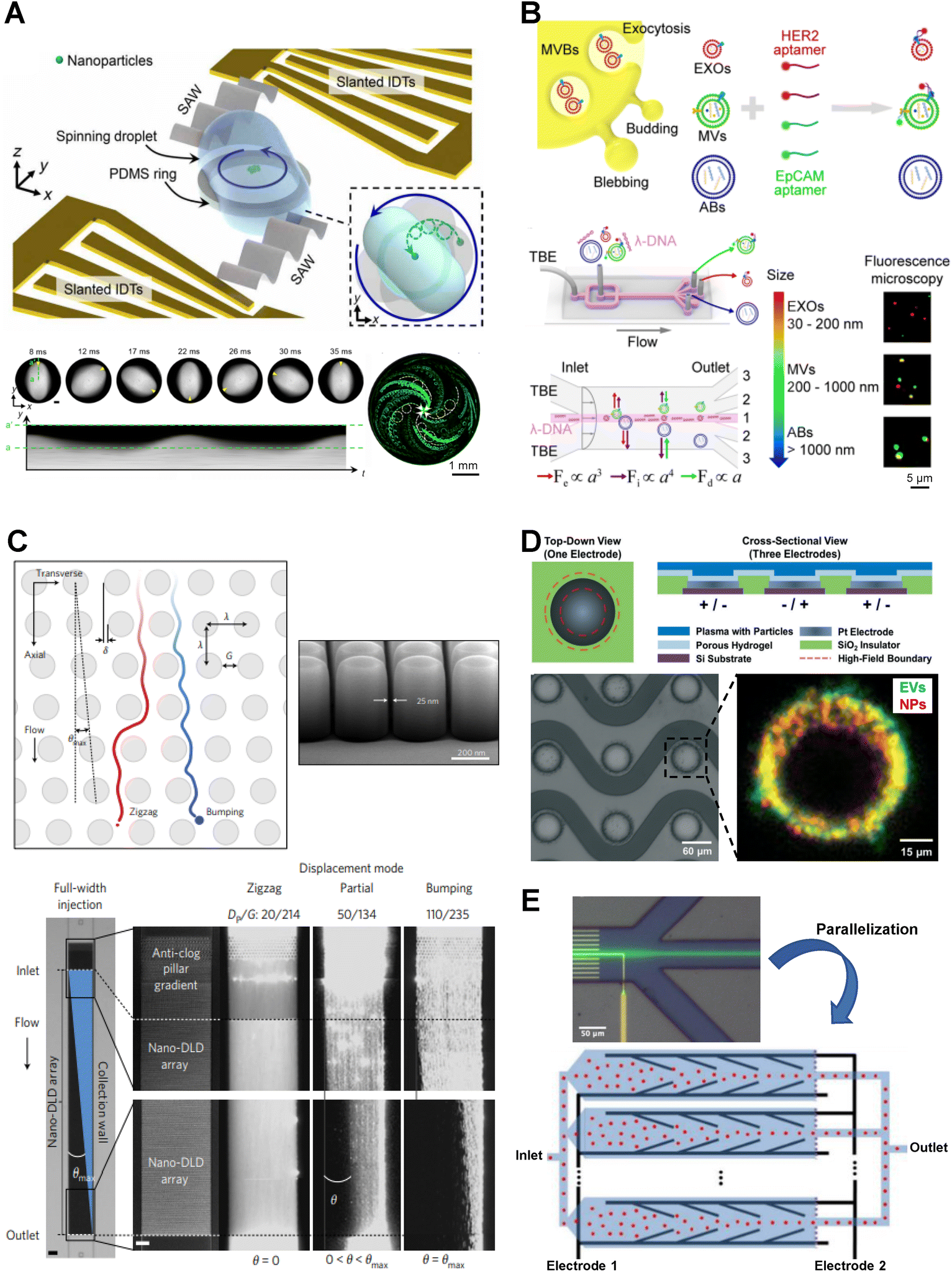 https://pubs.rsc.org/image/article/2024/AN/d3an01739g/d3an01739g-f9_hi-res.gif