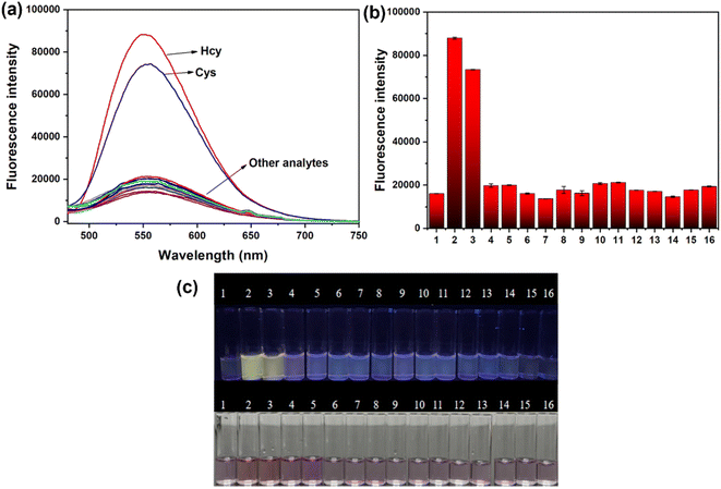 13  5548355 5459130 HE400VG 2348169PEX Turbo for PACCAR MX13 MX11