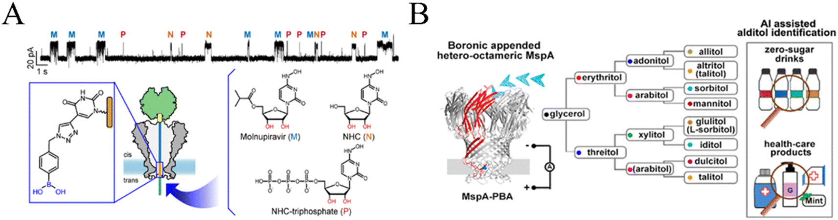 Recent advances in nanopore-based analysis for carbohydrates and 