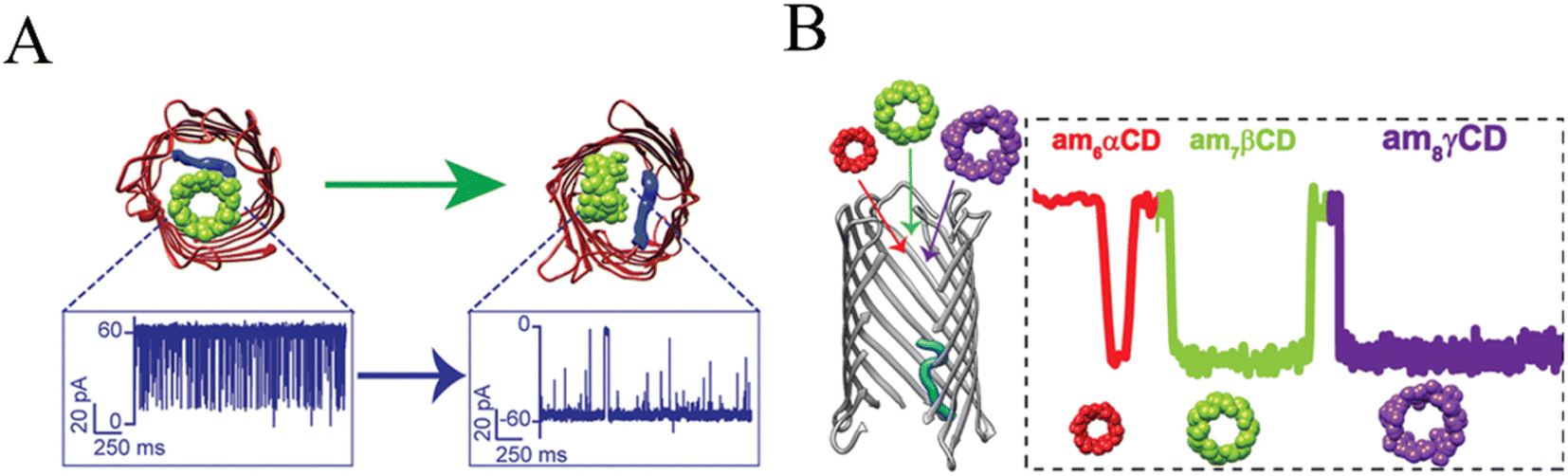 Recent advances in nanopore-based analysis for carbohydrates and 