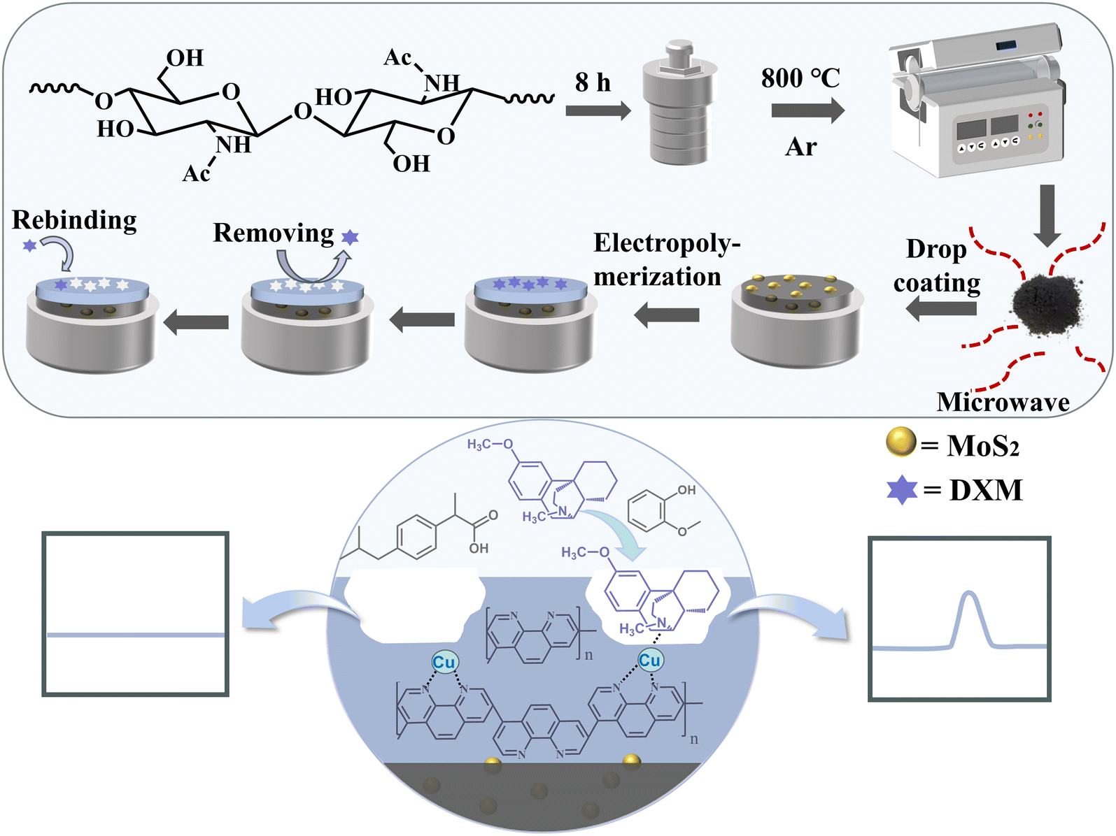 A novel electrochemical sensor based on a Cu-coordinated