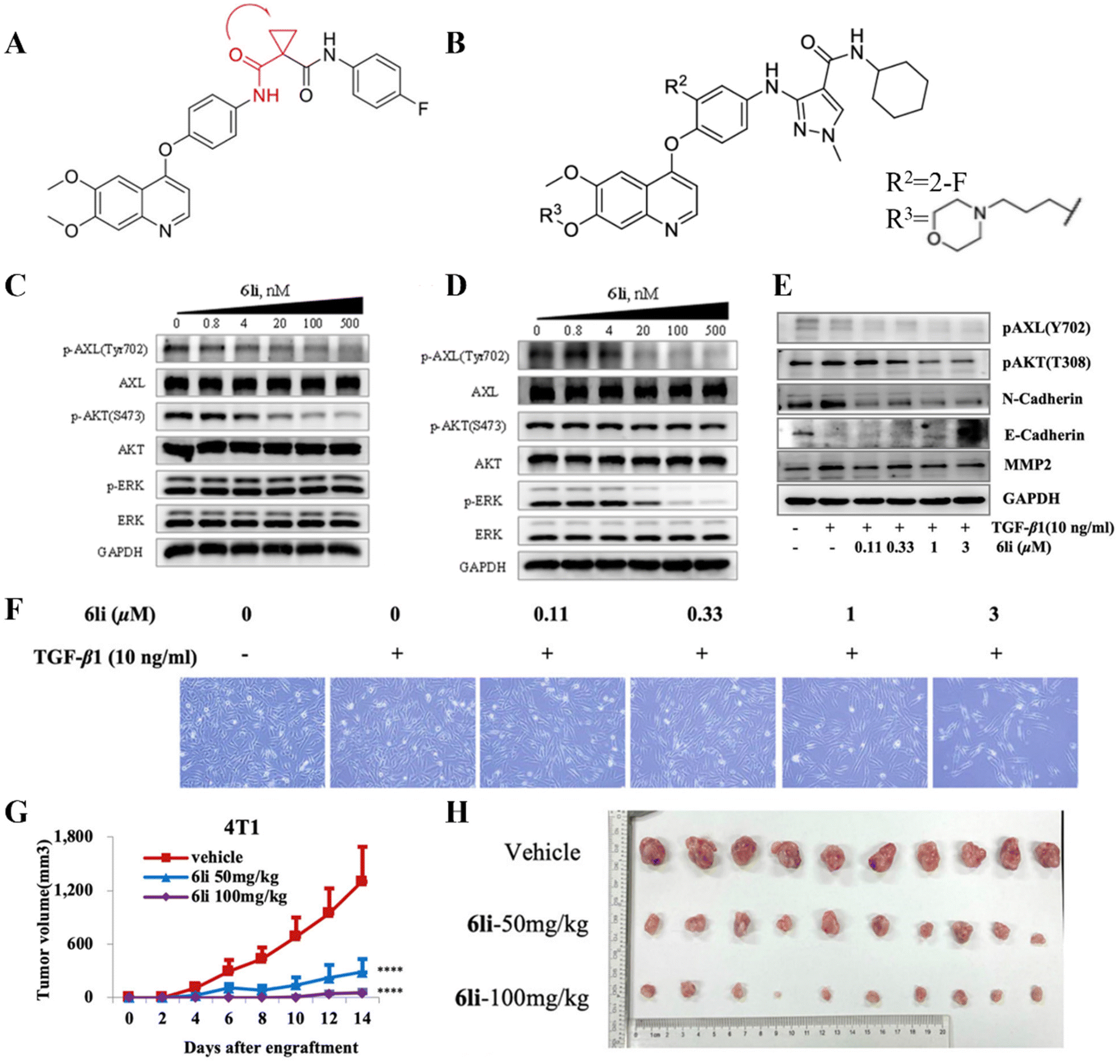 Covalent drugs based on small molecules and peptides for disease  theranostics - Biomaterials Science (RSC Publishing) DOI:10.1039/D3BM01138K