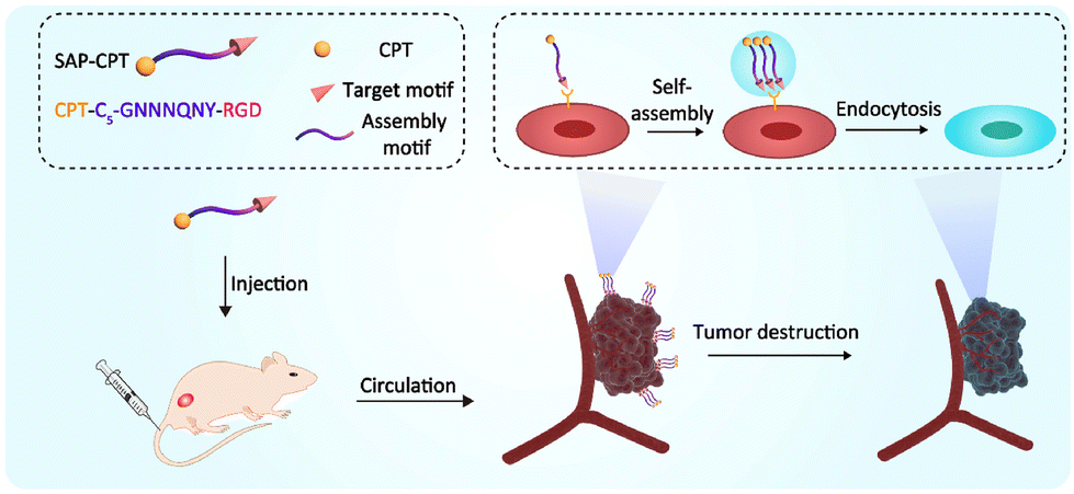 【サトウ】 Mitochondrial Dysfunction as a Potential Mechanism Mediating