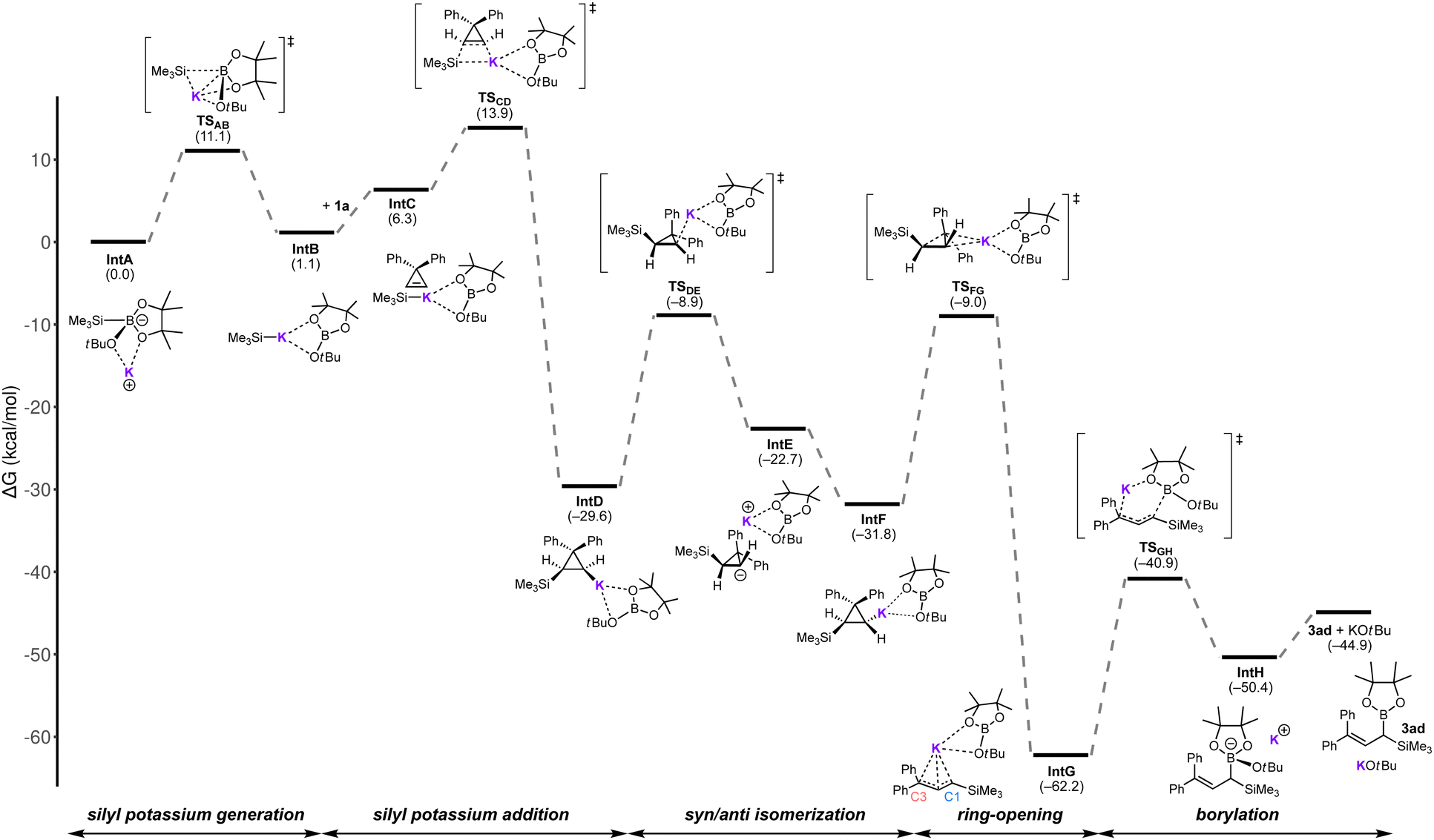 Synthesis of (1-silyl)allylboronates by KO t Bu-catalyzed ring-opening ...