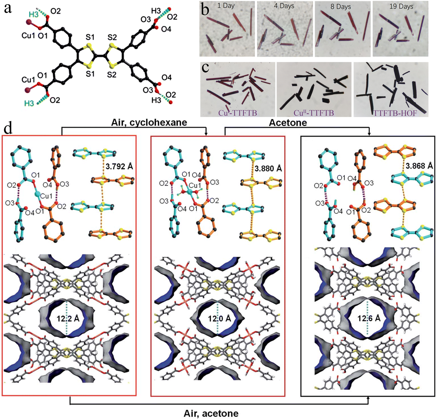 Interconversion and functional composites of metal–organic