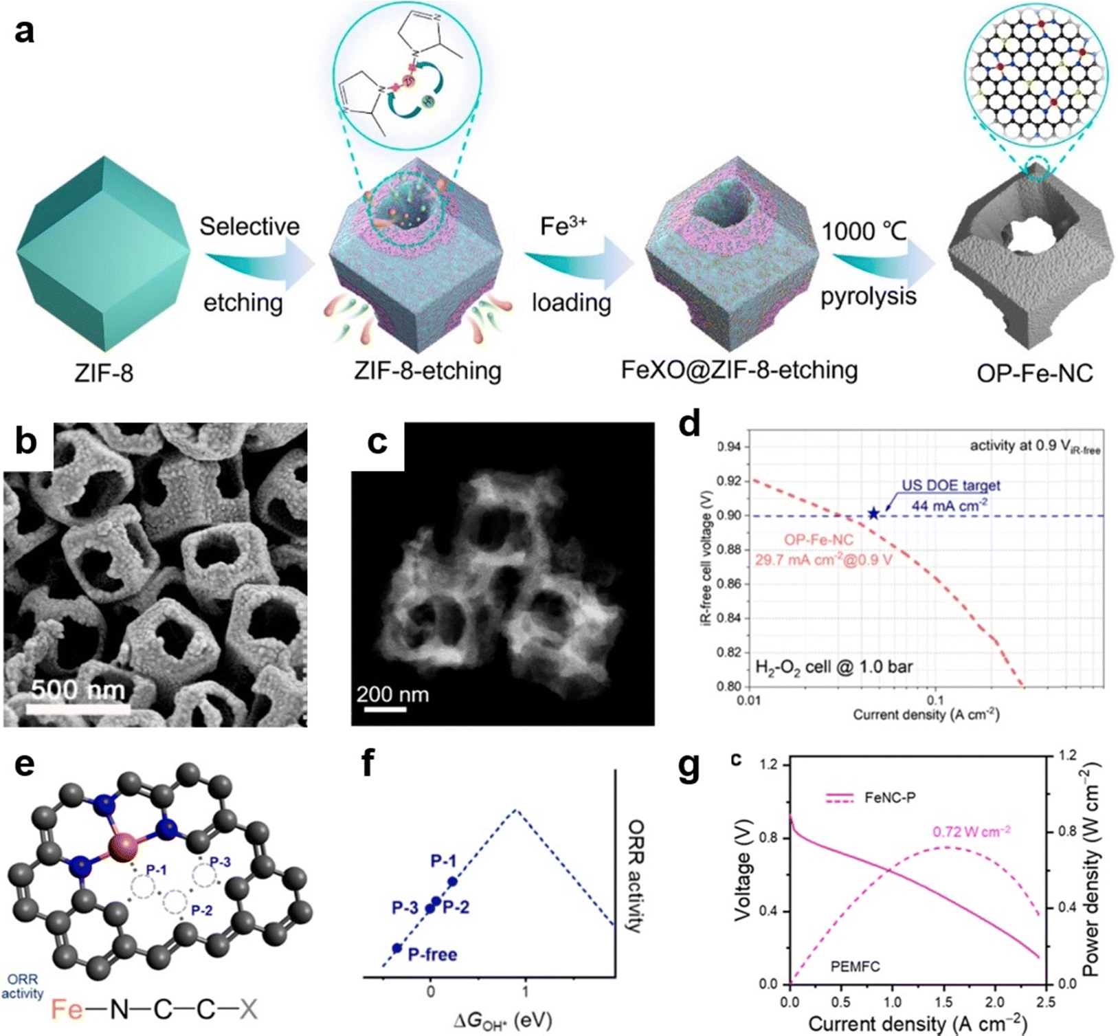 PGM-free single atom catalysts for the oxygen reduction PGM-free single atom catalysts for the oxygen reduction