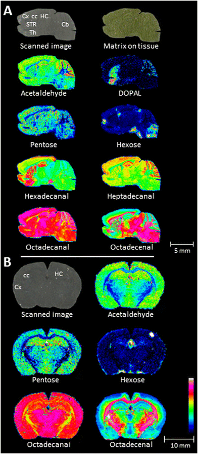 image file: d4cc02475c-f3.tif