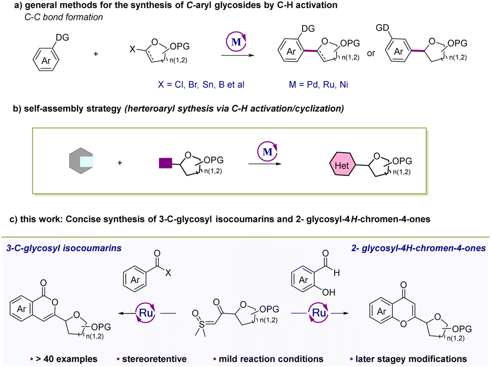 Concise synthesis of 3- C -glycosyl isocoumarins and 2-glycosyl-4