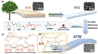image file: d4cc03522d-f1.tif