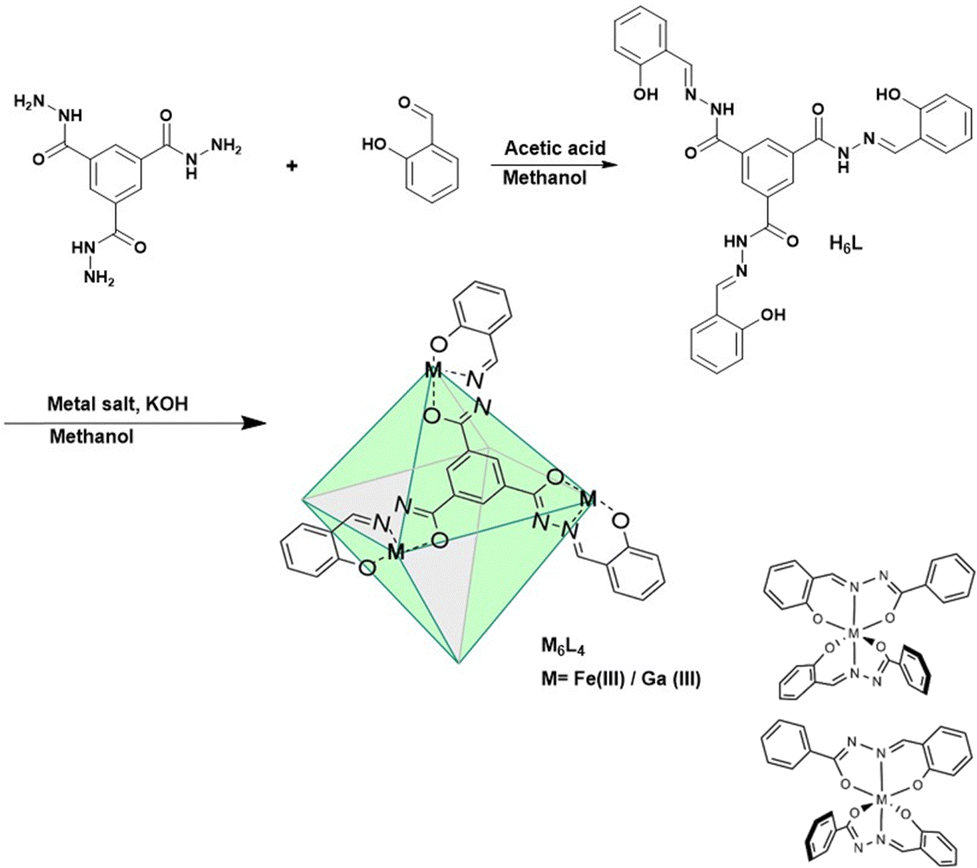 An octahedral coordination cage with six Fe( iii ) centers