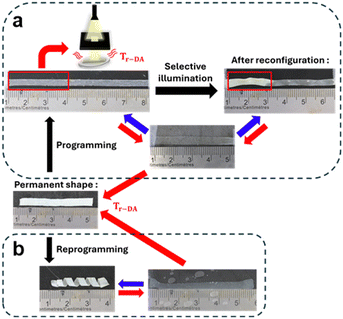 image file: d4cc03721a-f4.tif