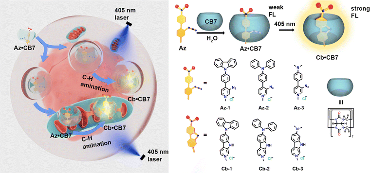 image file: d4cc03907f-s1.tif