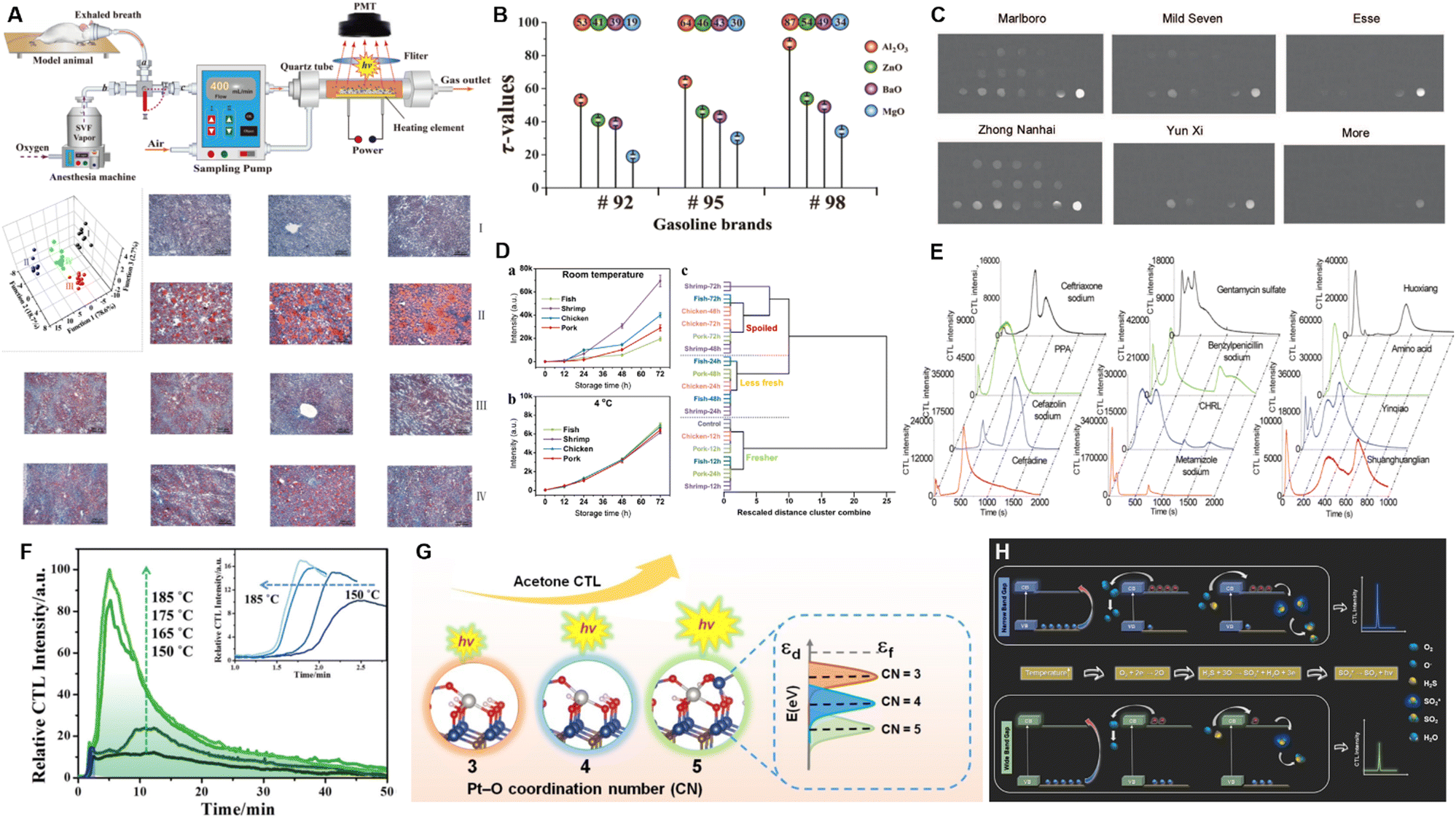 ワンダースワン Recent progress of cataluminescence sensing based on gas