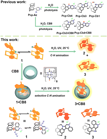 image file: d4cc04209c-s1.tif