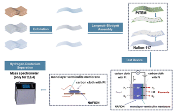 image file: d4cc04306e-s1.tif