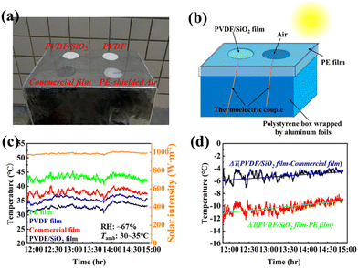 image file: d4cc04477k-f3.tif