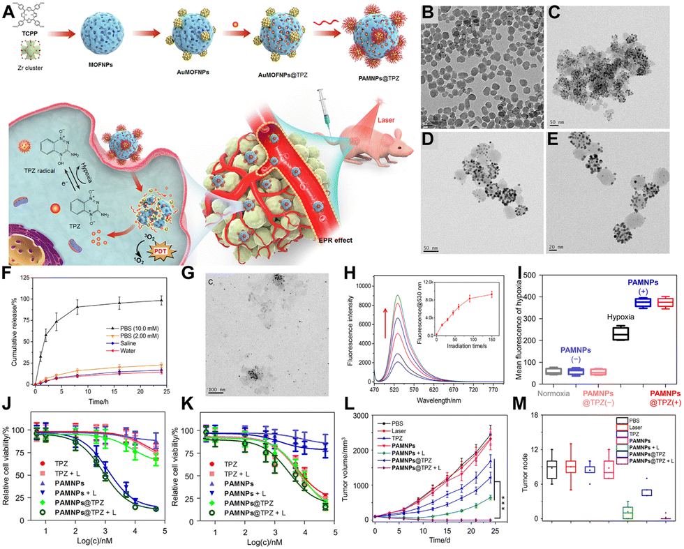 Recent progress of porphyrin metal–organic frameworks for combined photodynamic therapy and hypoxia-activated chemotherapy - Chemical Communications (RSC Publishing) DOI:10.1039/D4CC04512B Recent progress of porphyrin metal–organic frameworks for combined photodynamic therapy and hypoxia-activated chemotherapy - Chemical Communications (RSC Publishing) DOI:10.1039/D4CC04512B
