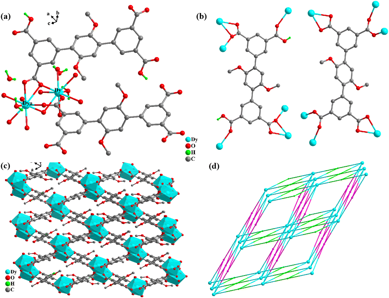 Two multifunctional Dy( iii )-based metal–organic frameworks