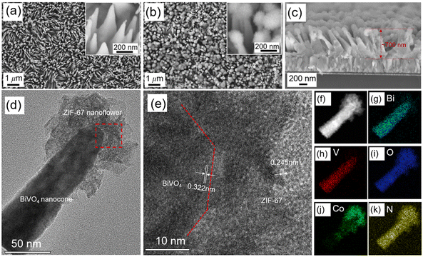 Nanotip effect assisted in situ growth of ZIF-67 nanoflowers on a