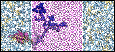 image file: d3cp04617f-f6.tif