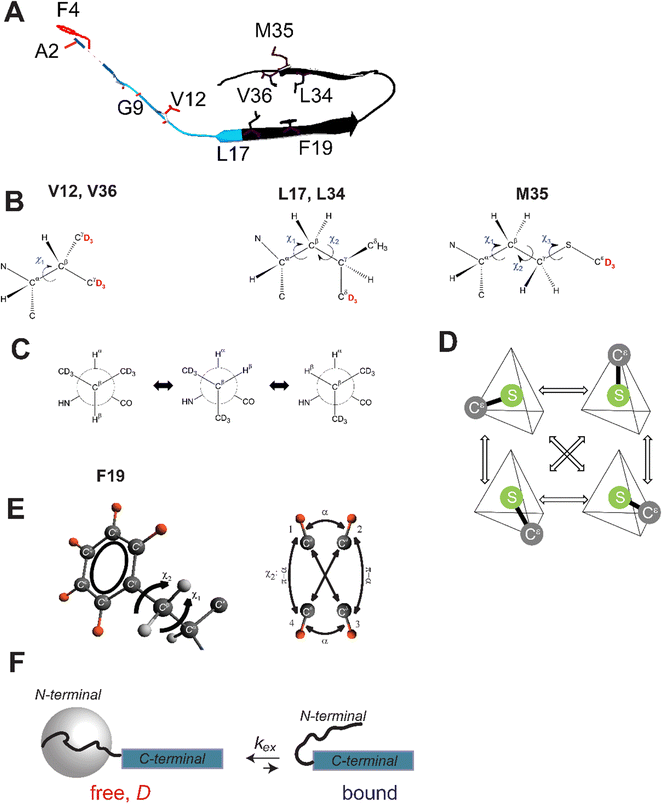 image file: d3cp04824a-f1.tif
