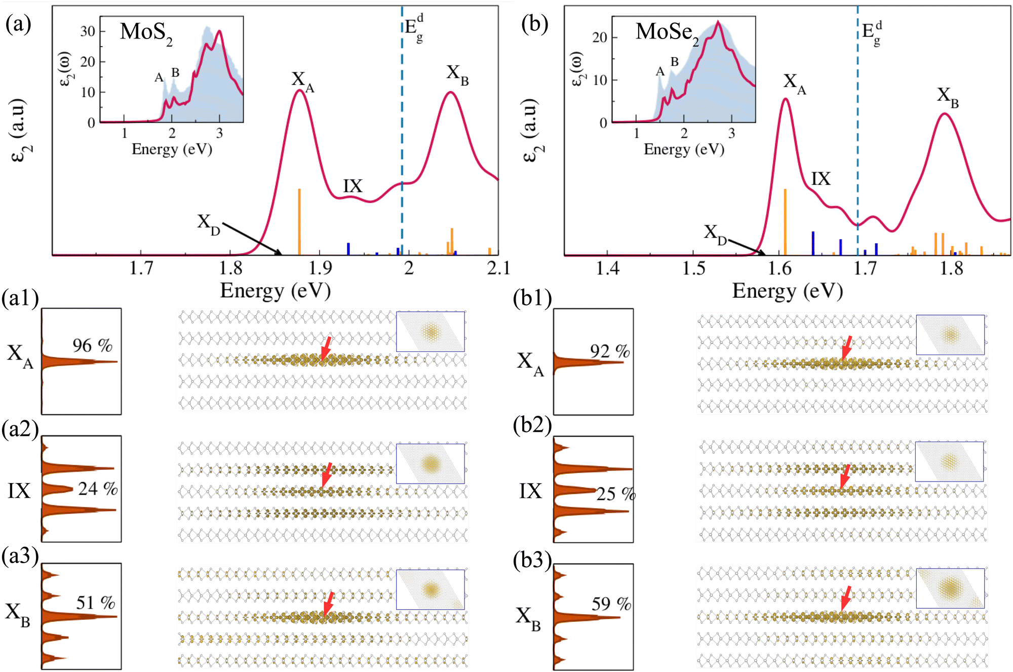 Optical spectra and exciton radiative lifetimes in bulk transition 