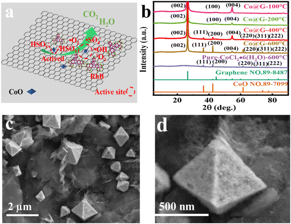 Double pyramid stacked CoO nano-crystals induced by graphene at 