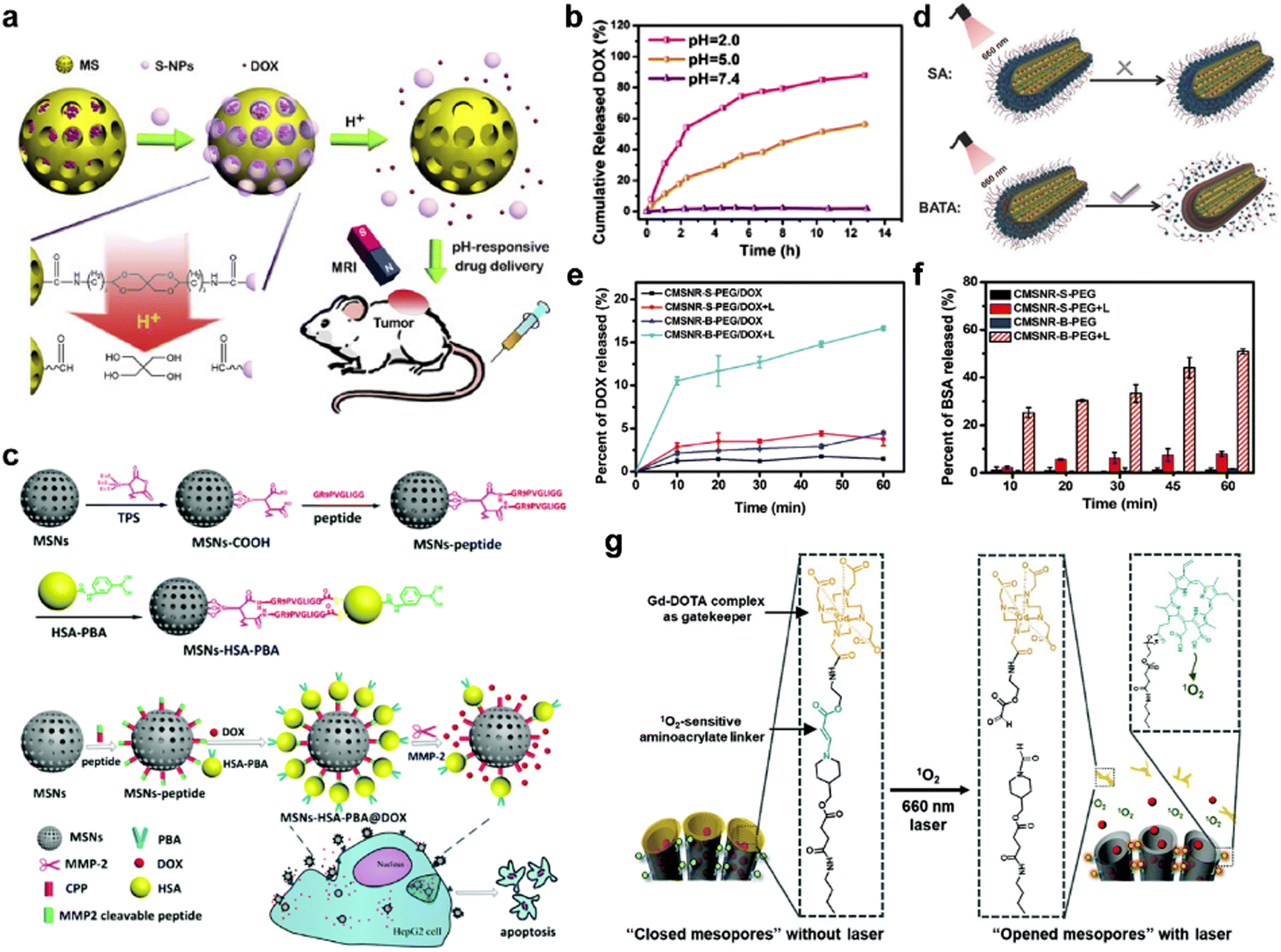 Silicon-containing nanomedicine and biomaterials: materials