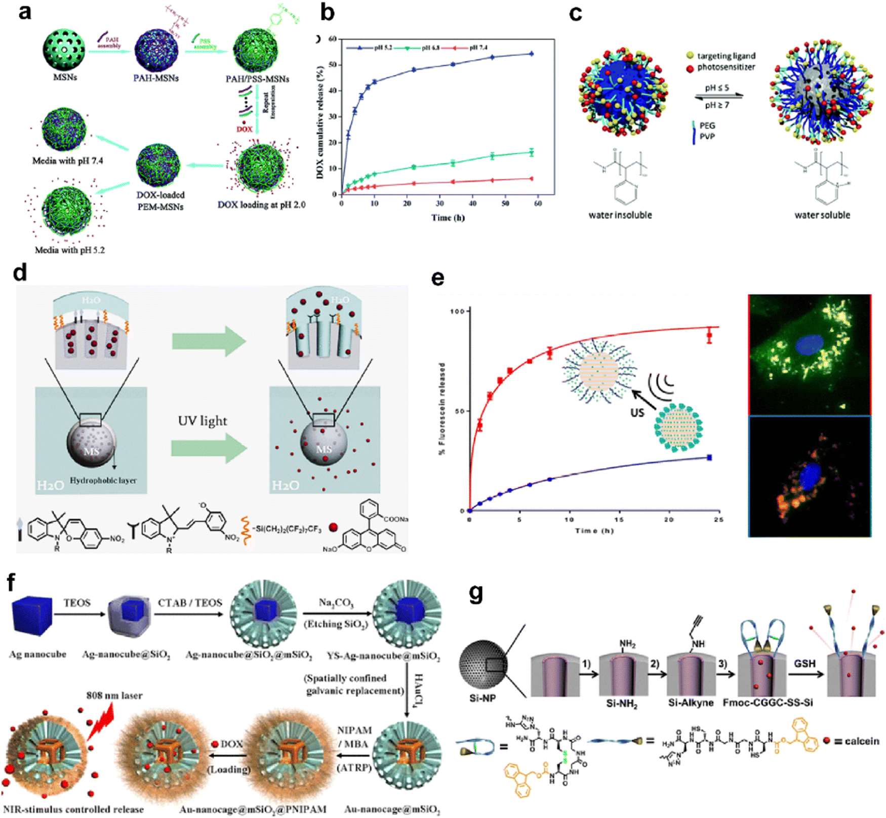 Silicon containing nanomedicine and biomaterials materials