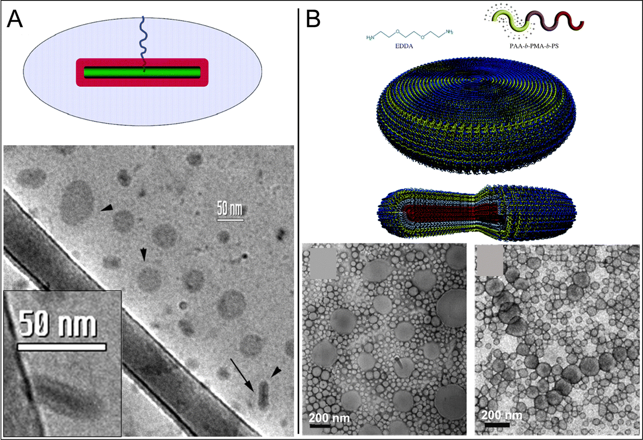 Nanoscale polymer discs, toroids and platelets: a survey of their syntheses  and potential applications - Chemical Society Reviews (RSC Publishing)  DOI:10.1039/D1CS01114F