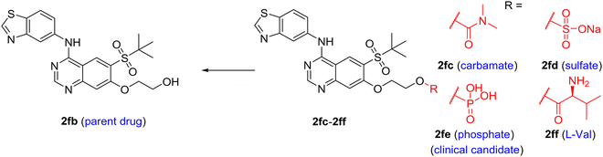 Prodrugs as empowering tools in drug discovery and development