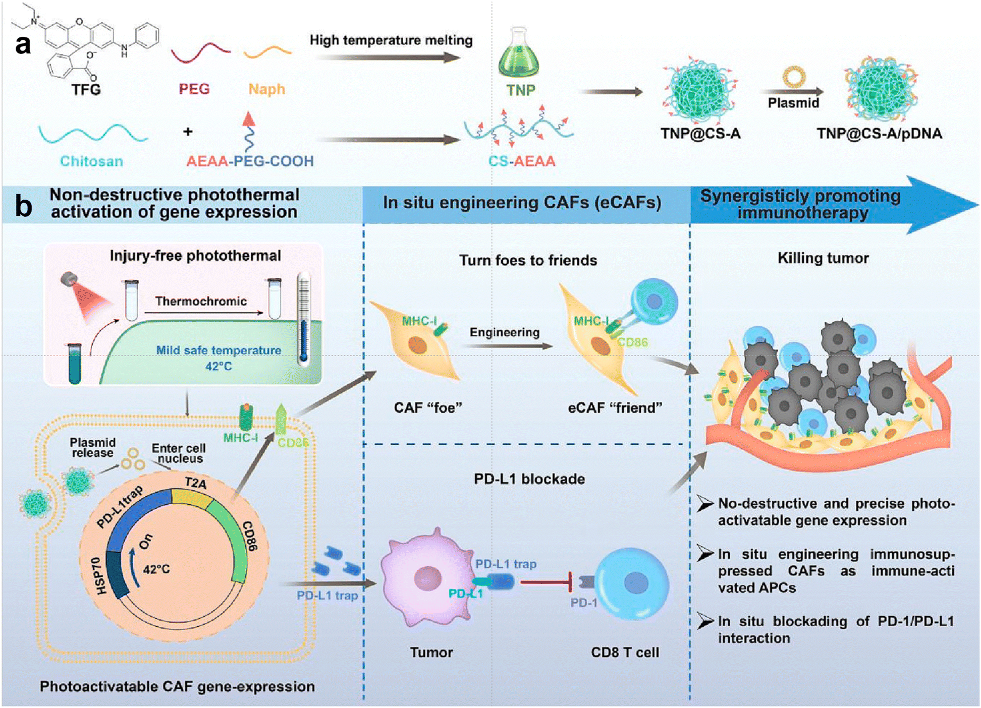 Immunological nanomaterials to combat cancer metastasis