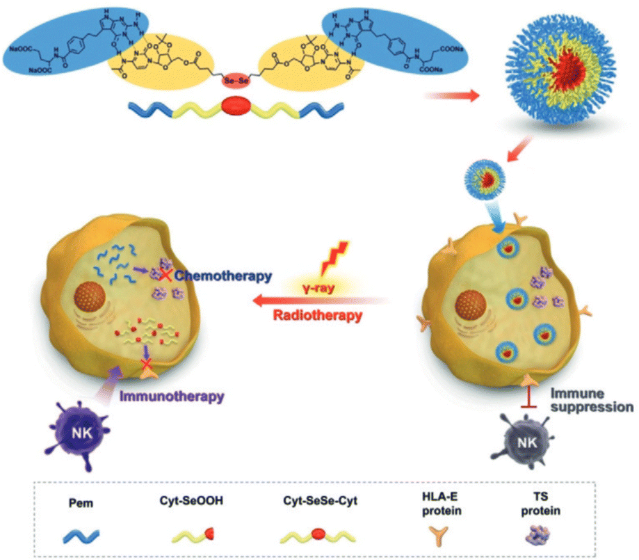 プロテイン 269629.jpg