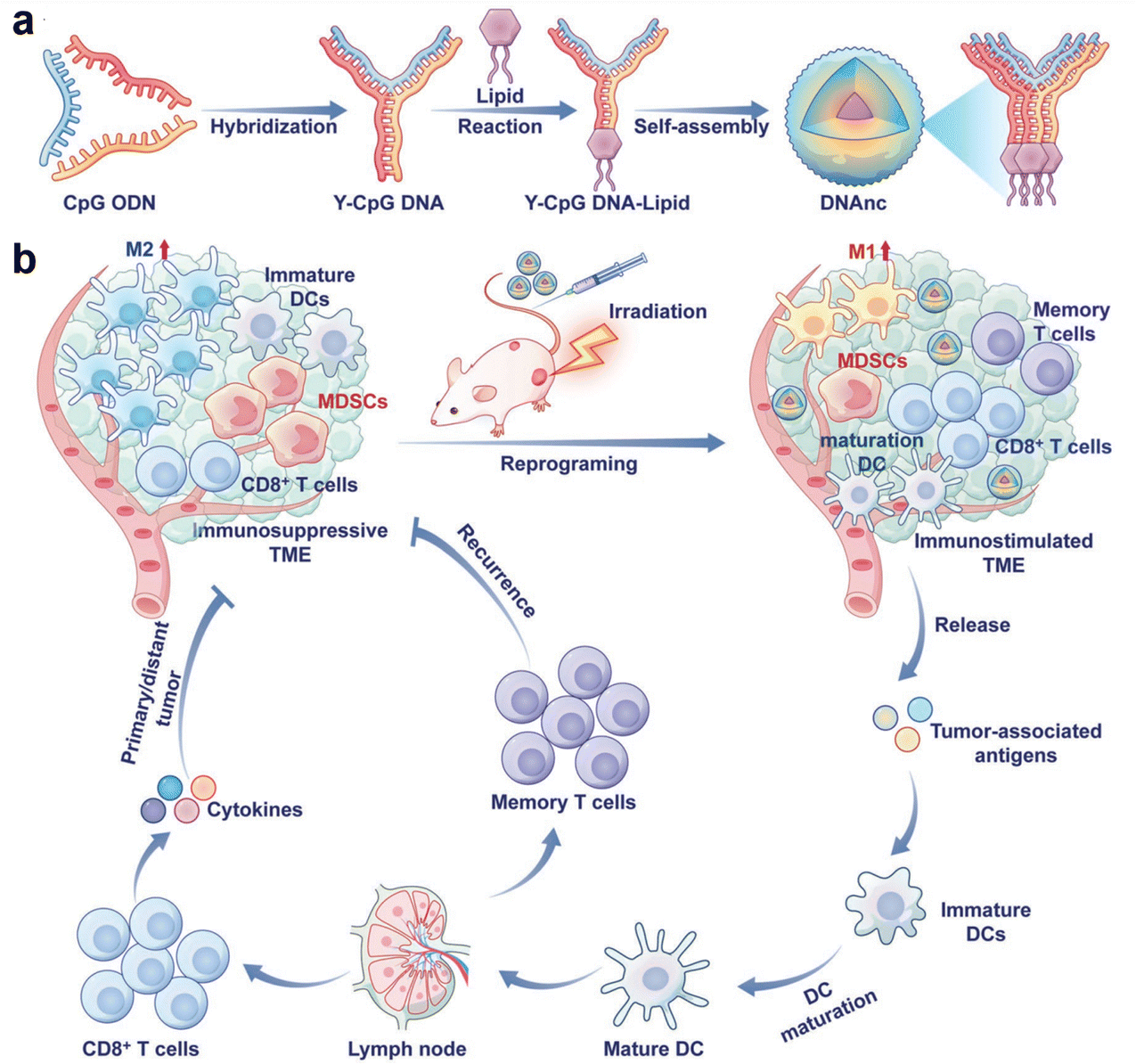 Immunological nanomaterials to combat cancer metastasis Immunological nanomaterials to combat cancer metastasis