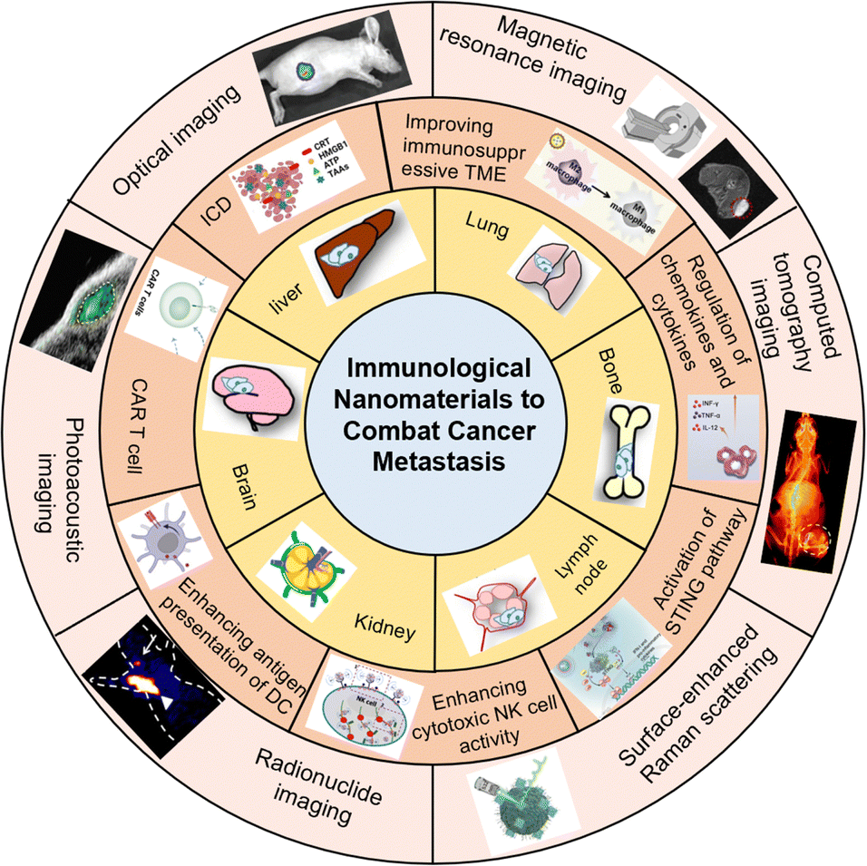 Immunological nanomaterials to combat cancer metastasis Immunological nanomaterials to combat cancer metastasis