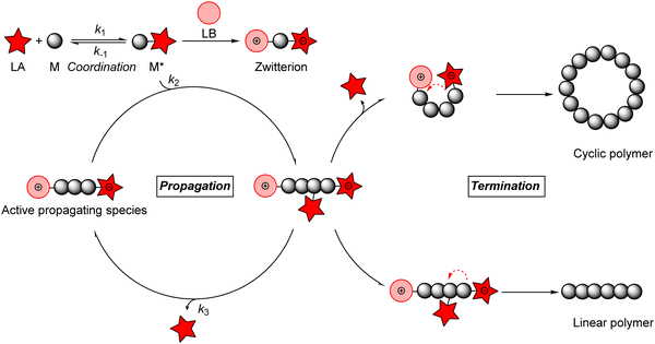 Recyclable cyclic bio-based acrylic polymer via pairwise monomer  enchainment by a trifunctional Lewis pair