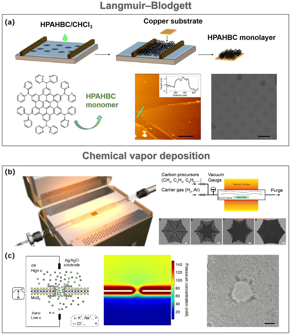 Bioinspired 2D nanofluidic membranes for energy applications 