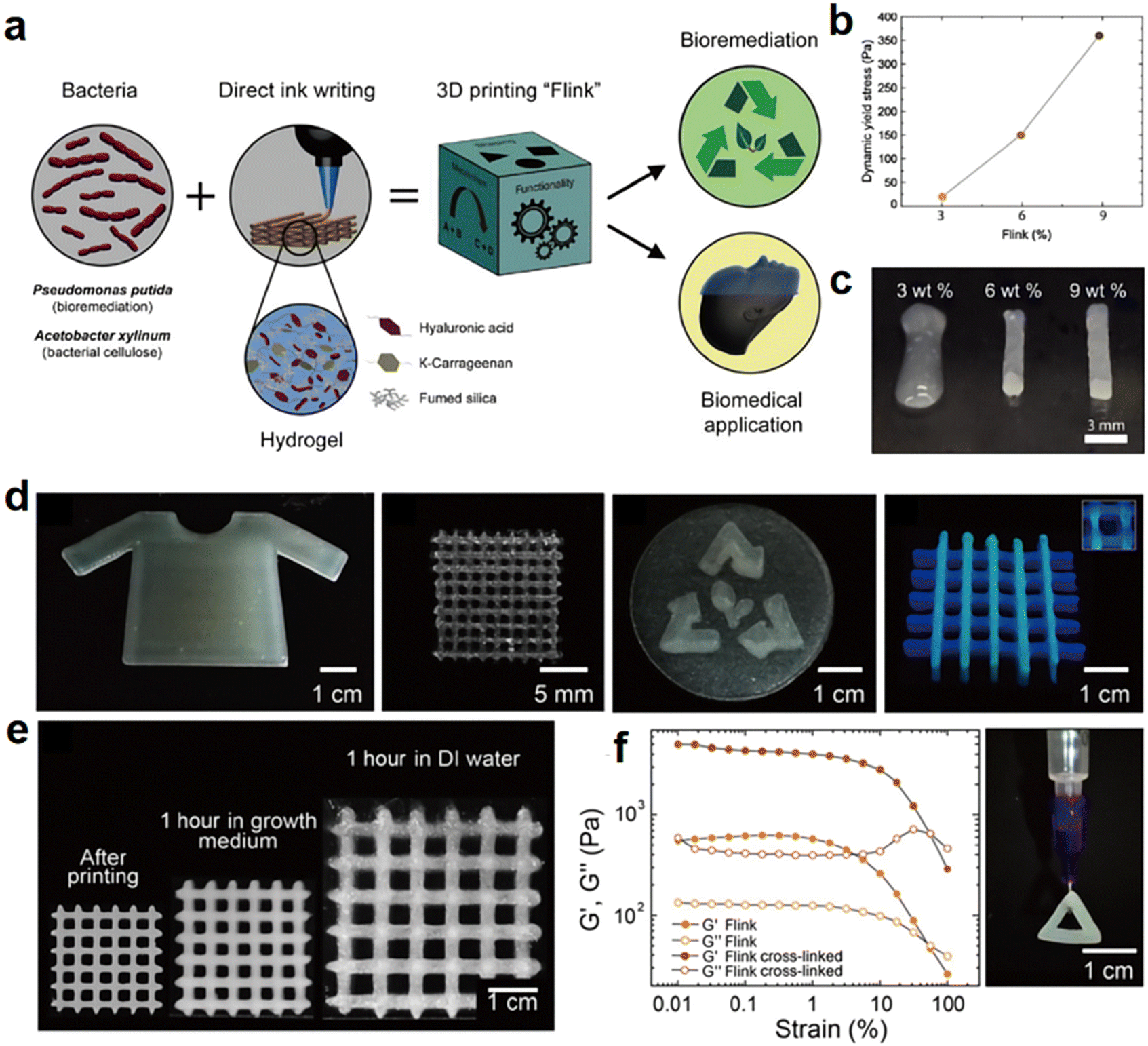Microbe-material hybrids for therapeutic applications
