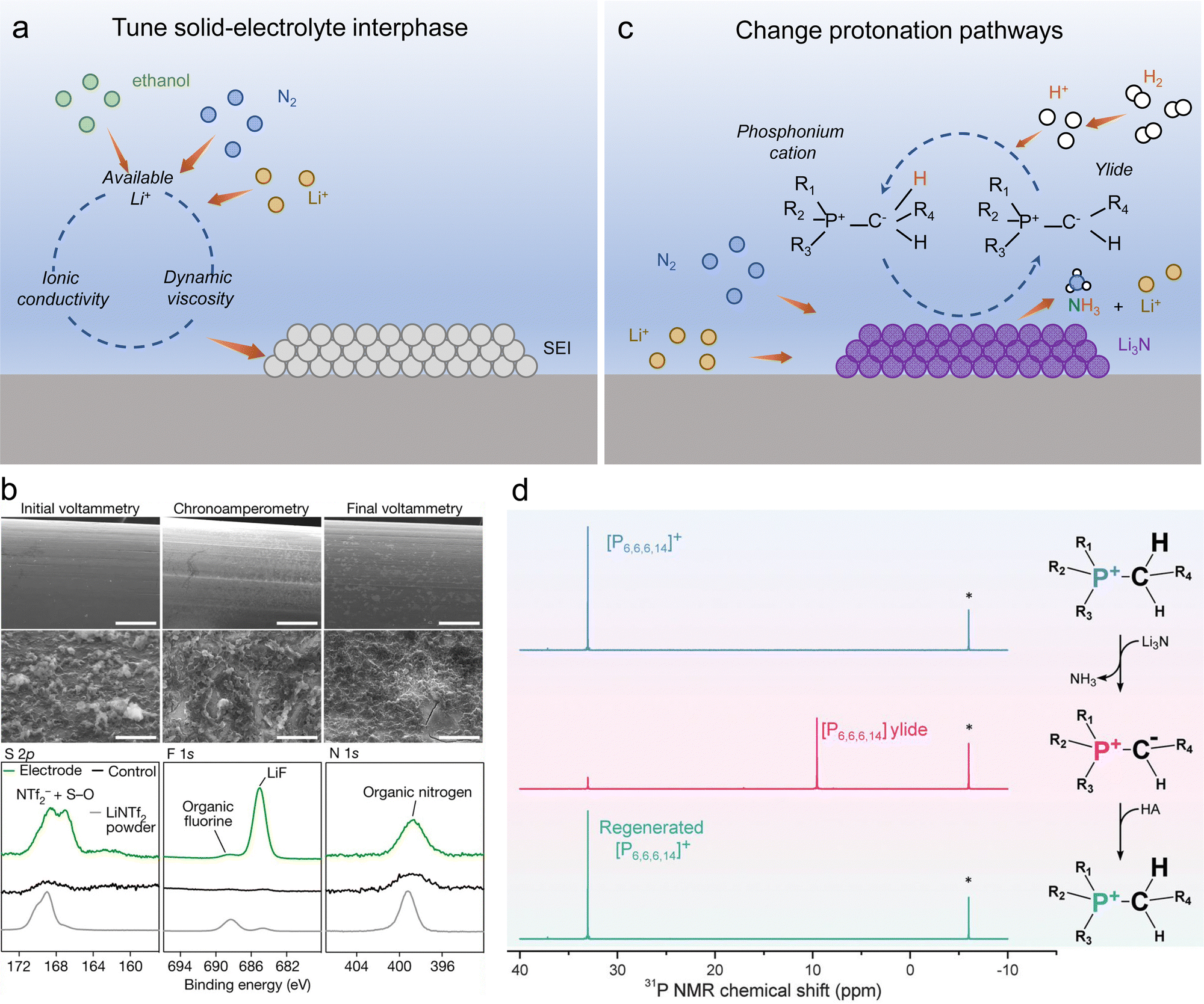 Local reaction environment in electrocatalysis - Chemical Local reaction environment in electrocatalysis - Chemical