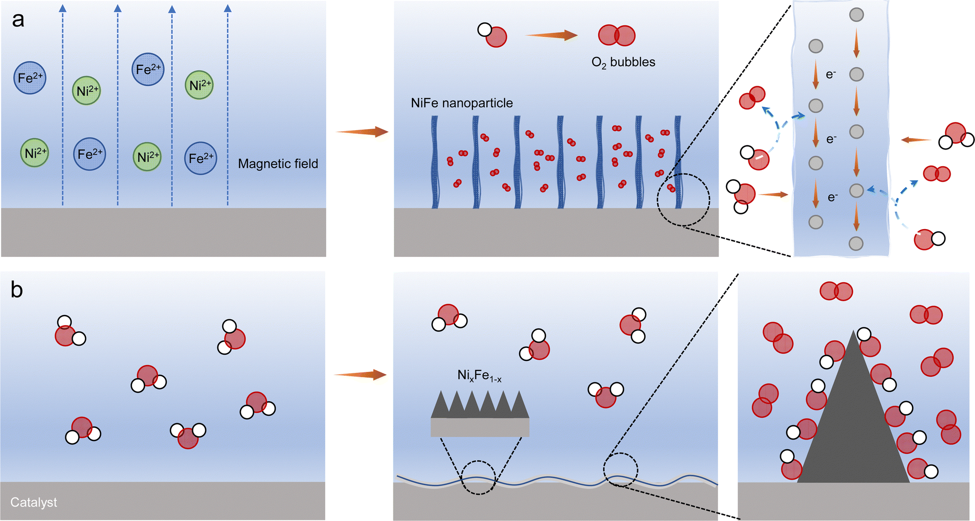 Local reaction environment in electrocatalysis - Chemical Society 