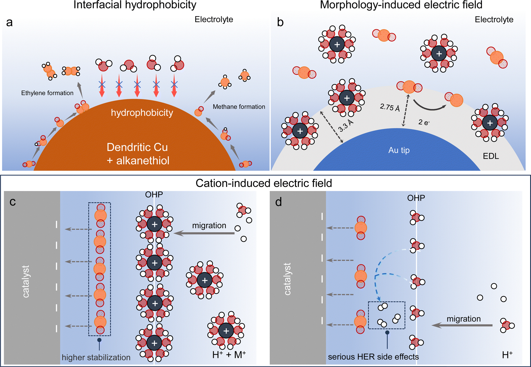 Local reaction environment in electrocatalysis - Chemical Society 