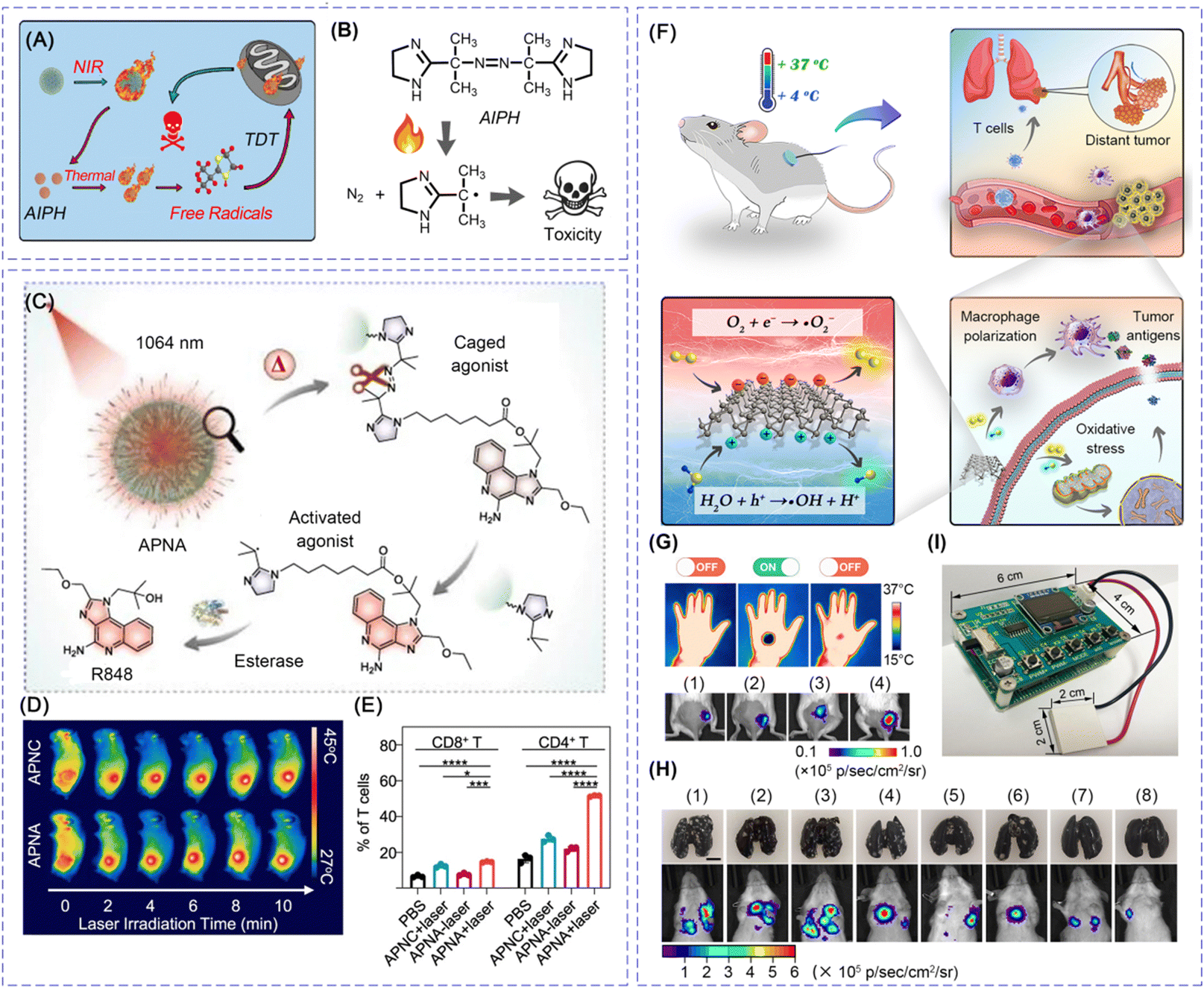 Nanocatalysts for modulating antitumor immunity: fabrication Nanocatalysts for modulating antitumor immunity: fabrication