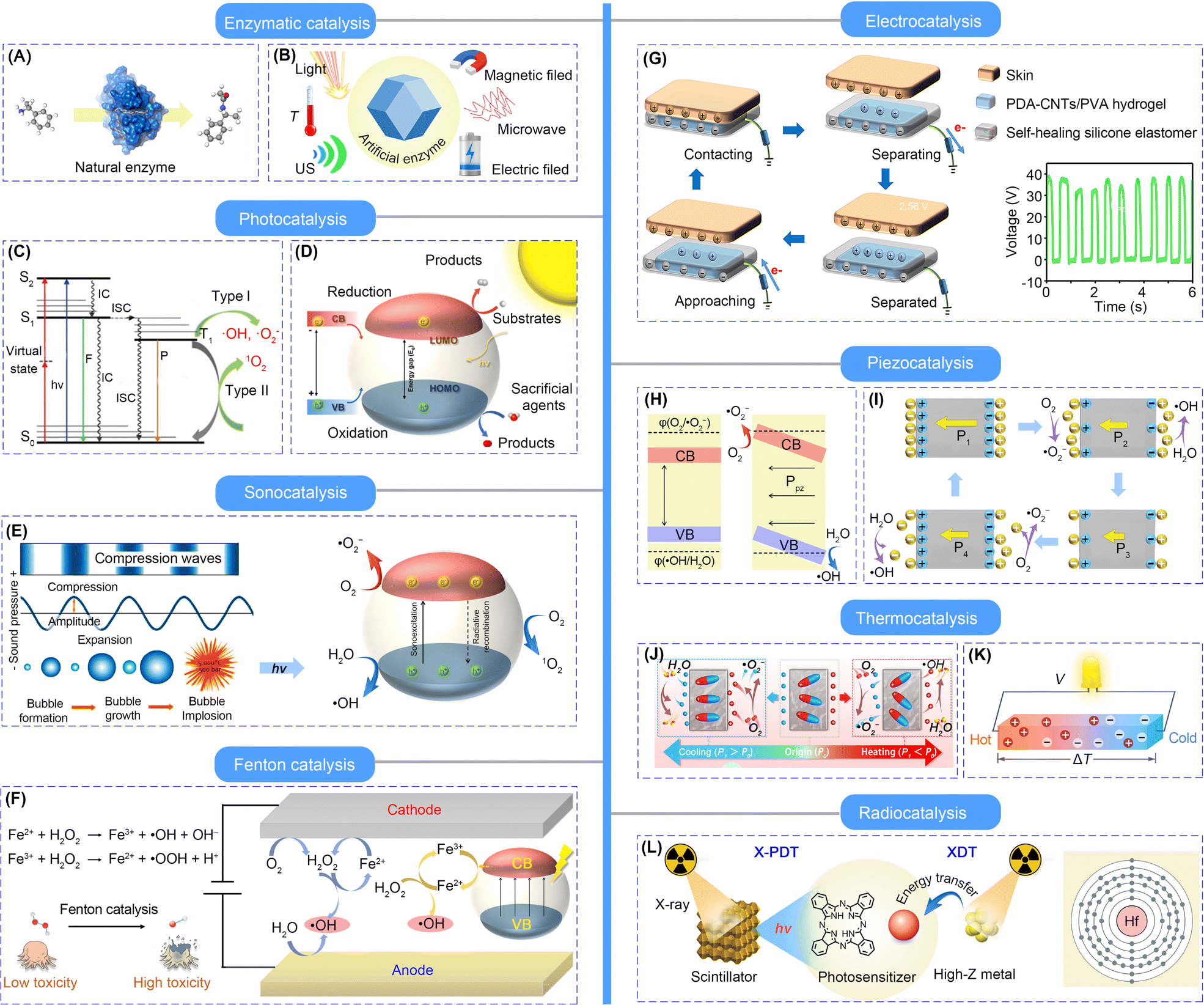 Nanocatalysts for modulating antitumor immunity: fabrication