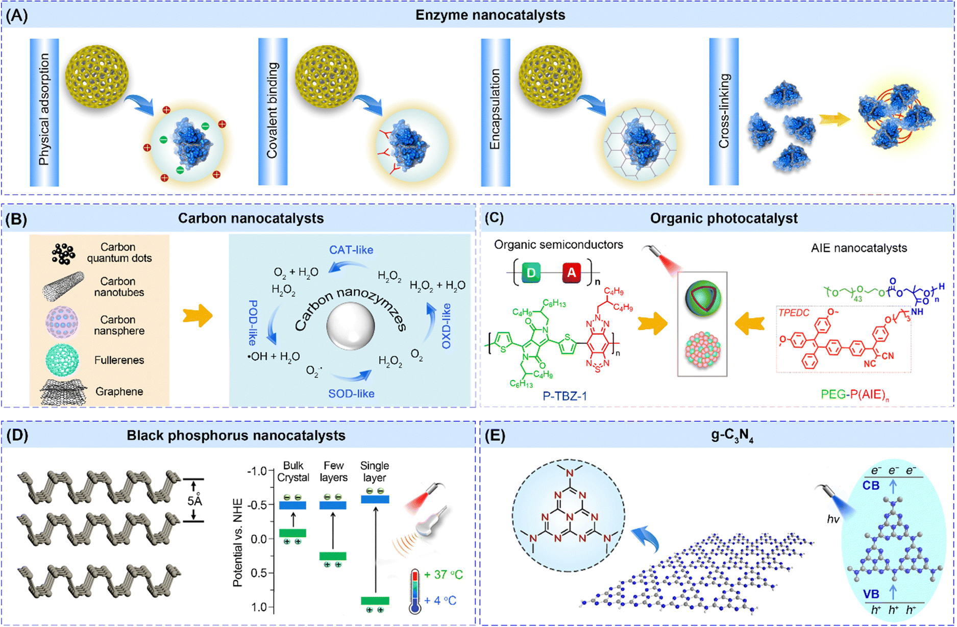 Nanocatalysts for modulating antitumor immunity: fabrication 