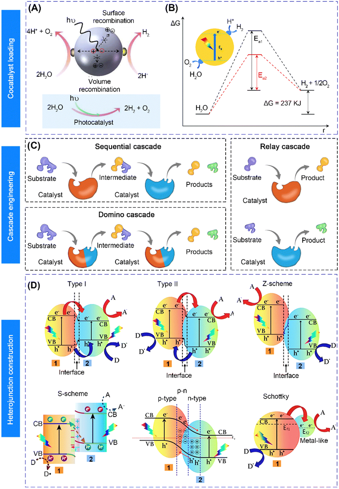 Nanocatalysts for modulating antitumor immunity: fabrication Nanocatalysts for modulating antitumor immunity: fabrication